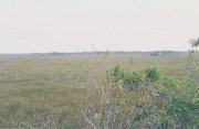 009-Everglades National Park